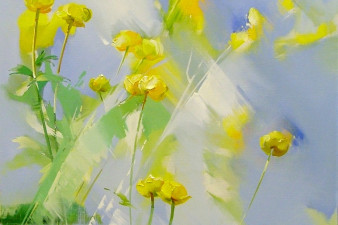 Купающиеся в облаках